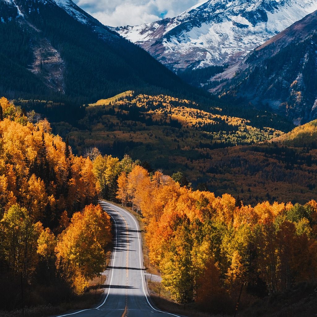Fall Fundraising Triage: 10 Free Calls Before the Season Begins
