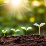 New plannts symbolizing how I 3X'ed market chemistry